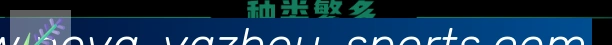 未来规划